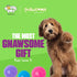 Gnawsome 4.5” Spiky Squeak & Light Ball Dog Toy - Extra Large, Cleans Teeth, Promotes Dental Health, Colors Vary