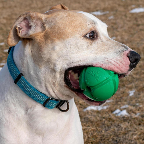 PetKORE 2.5", : FloTex Ball - Medium - Green, Dog Toy, Proprietary Rubber, Patented Open Airflow Grooves