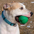 PetKORE 2.5", : FloTex Ball - Medium - Green, Dog Toy, Proprietary Rubber, Patented Open Airflow Grooves