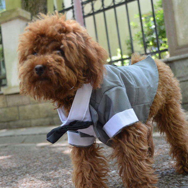 Lovelonglong Dog Suit, Formal Tuxedo with Black Bow Tie, Gray XL, Clothing for Small Dogs, Pug
