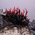 VOCOSTE Mini Faux Coral Decor, Black Red Coral Reef for Aquarium Decorations, 6.5"x5.83"