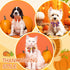 Maitys 40 Pcs Thanksgiving Dog Bow Ties - Autumn Turkey Pumpkin Adjustable Pet Ties for Grooming Accessories