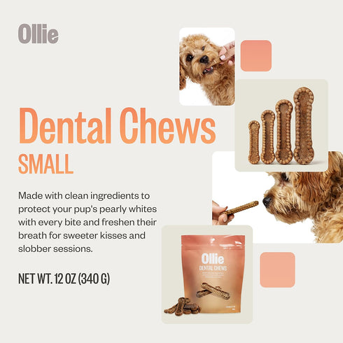 Ollie Dental Chews for Dogs Small, Dog Breath Treats for Teeth Cleaning, 12 Oz Dental Treats