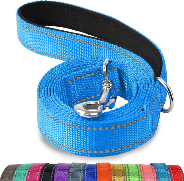 Joytale Double-Sided Reflective Dog Leash, 6 FT/5 FT/4 FT, Padded Handle for Medium & Large Dogs, Sky Blue
