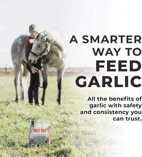 Redmond Daily Red Crushed Garlic Supplement for Horses