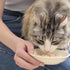 INABA Chicken Stew Side Dish, Dry Cat Food Topper/Treat with Vitamin E, Eight 1.4 Ounce Pouches