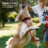 Reflective Dog Collar for Small, Medium, Large Dogs - CollarDirect with Quick Release Buckle, Nylon (10-13 Inch, Red)
