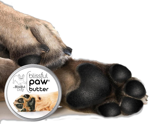 The Blissful Dog Paw Butter, 4 oz. Moisturizer for Dry Paw Pads, Softens & Protects Rough Paws