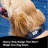 Black Rhino Reflective Dog Collar - Heavy Duty Adjustable Comfort Collar for Large Dogs, Blue/Grey