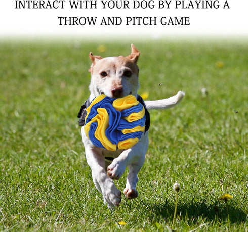 WishLotus Dog Snuffle Ball, Interactive Puzzle Toys for Dogs, Enrichment Game Feeding Mat Slow Feeder Stress Relief Toy