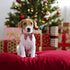 ADOGGYGO Christmas Dog Collar with Bow, Adjustable Cotton Red Bowtie for Small Medium Large Dogs (Medium, Xmas)