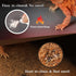 Bearded Dragon Tank Accessories, Reptile Mat for Leopard Gecko, Non-Adhesive Substrate Liner (18"x36" Grey)