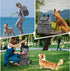 Dog Diaper Bag for Traveling, Airline Approved with 2 Food Storage Containers, Pet Camping Essentials (Gray)