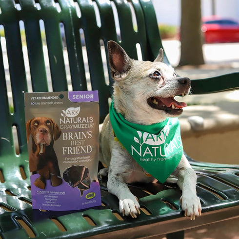 Recommended 90 Count Ark Naturals Gray Muzzle Brain's Best Friend Vet Soft Chews for Cognitive Issues Associated