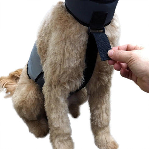 Dog Cooling Vest and Cooling Collar - Ice Vest for Medium Dogs (22" to 27" Girth)