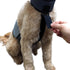 Dog Cooling Vest and Cooling Collar - Ice Vest for Medium Dogs (22" to 27" Girth)