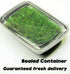 Generic Pack 2 Live Moss Duo Varieties Mixed Moss for Reptile Terrariums, Amphibian Habitats, Bonsai, Vivariums