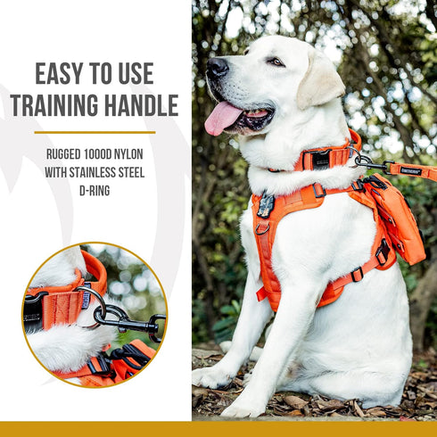 Tough Tactical Dog Collar with Handle, Military Adjustable Collar for Training (Medium, Orange)