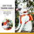 Tough Tactical Dog Collar with Handle, Military Adjustable Collar for Training (Medium, Orange)