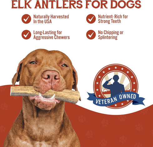 Heartland Elk Antlers for Dogs - Grade A Naturally Shed Antlers | Chew Toy for Aggressive Chewers & Teething Puppies