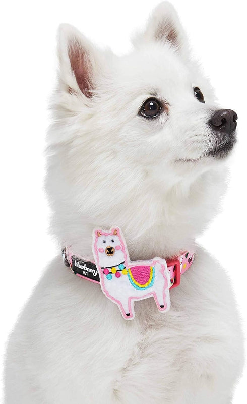 Blueberry Pet Adjustable Dog Collar Happy Llamas with Detachable Décor, Small, Neck 12"-16"