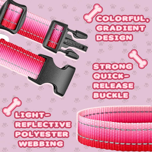 Martingale Dog Collar, Pink Light-Reflective Polyester for Whippets, Greyhounds, No-Pull No-Escape Adjustable Collars
