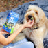 18 oz Ark Naturals Soft Brushless Toothpaste for Large Breeds, Bag, Soft-Baked Dog Dental Chew with Toothpaste Center