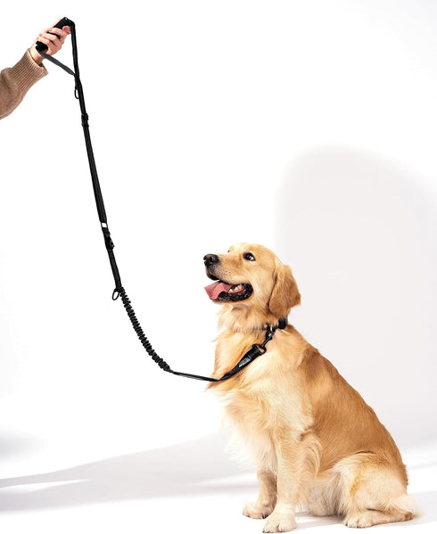 Shock Absorbing Tactical Bungee Dog Leash 4-7 ft. for Large Dogs with Seatbelt Buckle and Comfortable Padded Handle,