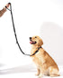 Shock Absorbing Tactical Bungee Dog Leash 4-7 ft. for Large Dogs with Seatbelt Buckle and Comfortable Padded Handle,