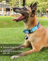 Hotsky Tactical Dog Collar, Adjustable Military Nylon with Handle, Airtag Holder for Medium Large Dogs, Blue Camo, L