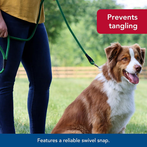 Coastal Pet Rope Dog Leash, Tangle-Free Walking, Soft-Braided Nylon, Fade-Resistant Colors (Teal, 1/2" x 06')