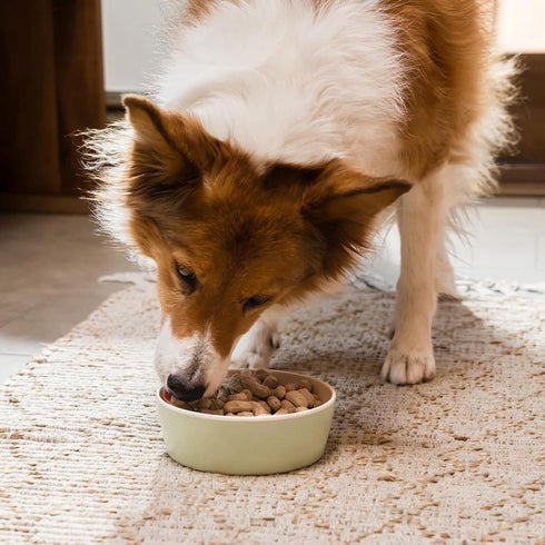95% 13.5oz Open Farm, Freeze Dried Raw Dog Food, Morsels with Meat, Organs & Bone, Organic Produce & Superfoods