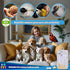 50ml Set Newborn Pet Feeding Kit, Nursing Bottle & Syringe for Puppies, Kittens, Rabbits, Squirrels BPA-Free Silicone