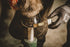 Kevin Bacon's 500ml Kevin Bacon Liquid Dressing Hoof Oil Clear