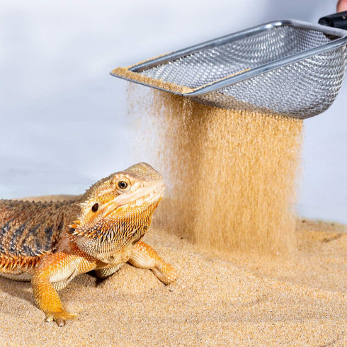 REPTI Zoo Stainless Steel Fine Mesh Reptile Sand Shovel, Long-Lasting Litter Cleaner, Terrarium Substrate Corner Scoop