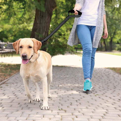 KRUZ PET KZV1020H-03L Short Traffic Leash, Reflective Heavy Duty Training Dog Leash, Red, 1" x 20"