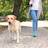 KRUZ PET KZV1020H-03L Short Traffic Leash, Reflective Heavy Duty Training Dog Leash, Red, 1" x 20"