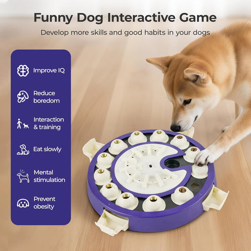 3 Dog Puzzle Toys Levels, Interactive Cognitive Toy for Smart Dogs, Food Puzzles Game for IQ Training Brain Mental