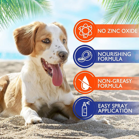 EBPP Dog Sunscreen Sun Skin Protector Spray, 8 fl oz, Safe for All Breeds, No Zinc Oxide, Pet Protection and Moisturizer