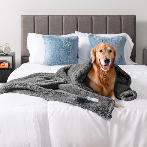 PetAmi Dog Blanket for Large Medium Dogs Grey, Fluffy Soft Puppy Blanket, Sherpa Fleece Cat Blanket for Kitten Doggie, Calming Pet Blanket Throw for Bed Washable Sofa Couch Cover, Large 40x60 by PetAmi