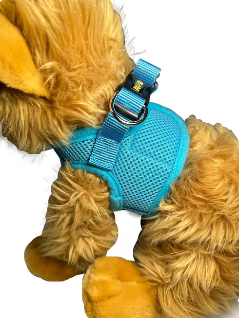Soft No Pull Step-in Dog Harness for Small Dogs XXS XS, Comfy SkyBlue Mesh for Teacup, Chihuahua, Yorkie