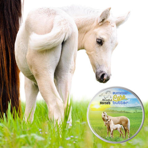 Summer 4 oz. The Blissful Horses Care Sun Butter, Gentle Horse Sunscreen, Easy-to-Apply Equine Sunblock Solution
