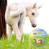 Summer 4 oz. The Blissful Horses Care Sun Butter, Gentle Horse Sunscreen, Easy-to-Apply Equine Sunblock Solution