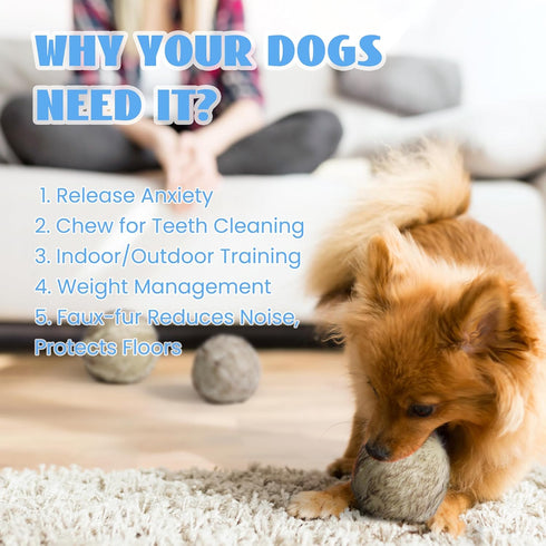 Nocciola Wobble Giggle Ball for Dogs, Interactive Squeaky Toy for All Sizes, Fun Giggle Sounds When Rolled or Shaken (M)
