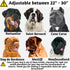 ADITYNA Heavy-Duty Premium Leather Dog Collar for Extra-Large Dogs, Padded with Soft Genuine Leather
