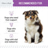 Milk Thistle for Dogs, 2 oz Liquid Supplement for Liver Support with Wild Alaskan Salmon Oil and Moringa Oil