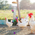 lasuroa Colorful Chicken Wind Chime Toy, Chicken Enrichment Coop Accessories Supplies Toys for Outside Wind Chimes Art
