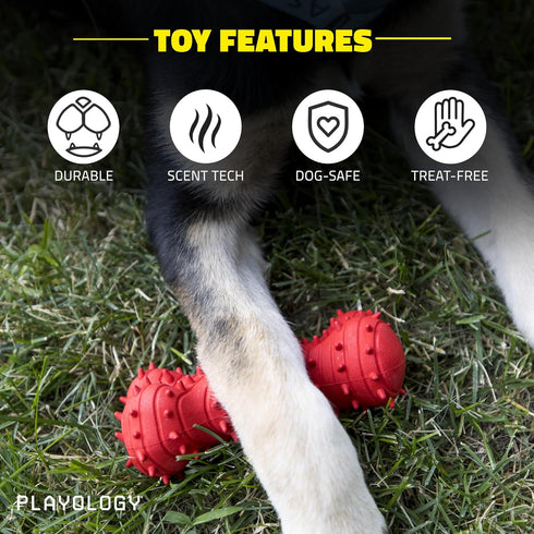 Playology Puppy Teething Bone Dog Toys - Large Chew Toys with Squeaker for Puppies 4-8 Months, All Breeds