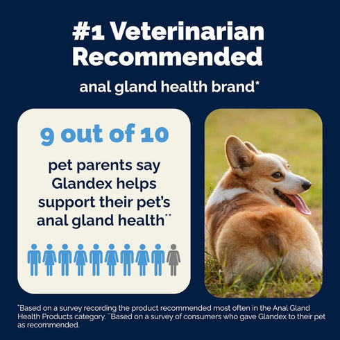 Vetnique Glandex Anal Gland Soft Chew Treats for Dogs, Peanut Butter Chews, 60 Count