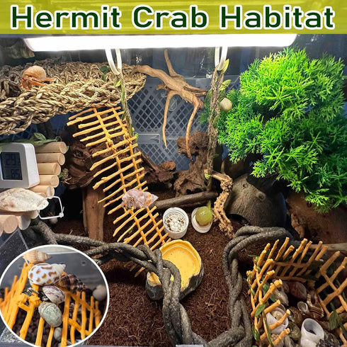 Delllala Hammock Hermit Crab Ladder Climbing Toy|Hermit Crab Decoration Tank AccessoriesReptile Habitat Decor